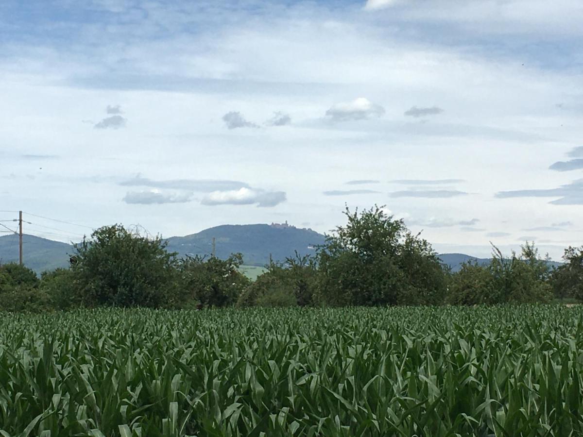 Gite D'Alsace L'Escale Ostheim Exteriör bild