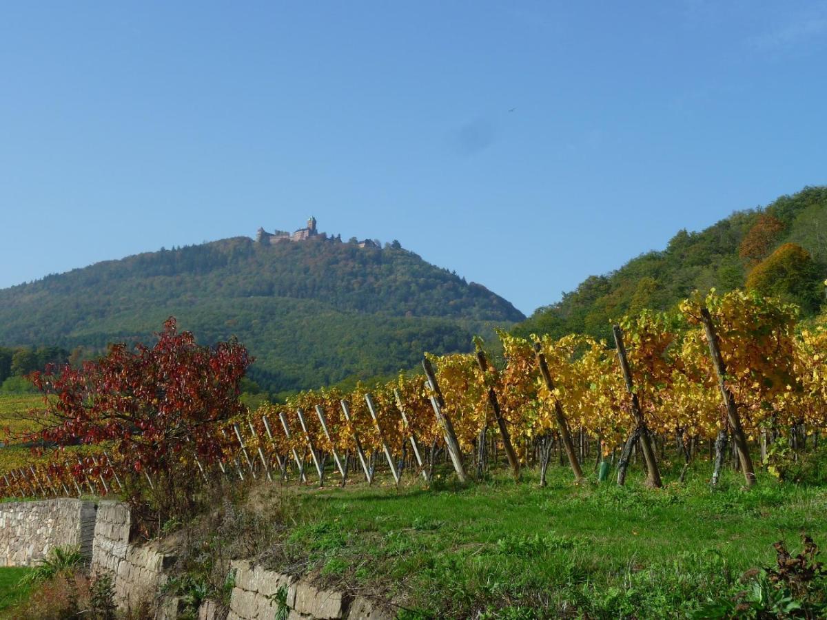 Gite D'Alsace L'Escale Ostheim Exteriör bild